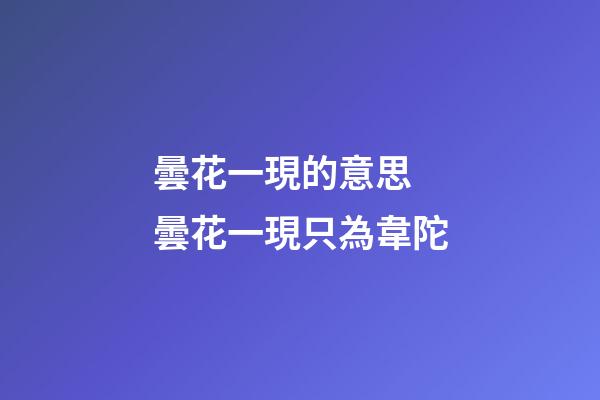 曇花一現的意思 曇花一現只為韋陀